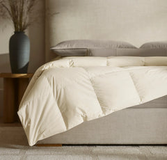 Percale Quilted Down Alternative Comforter - Cream